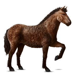 ratsuhevonen american bashkir curly ruunikko