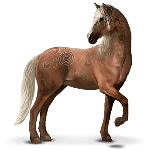 villihevonen brumby