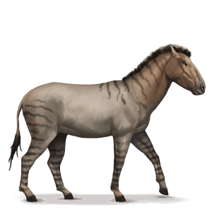 esihistoriallinen hevonen hippidion